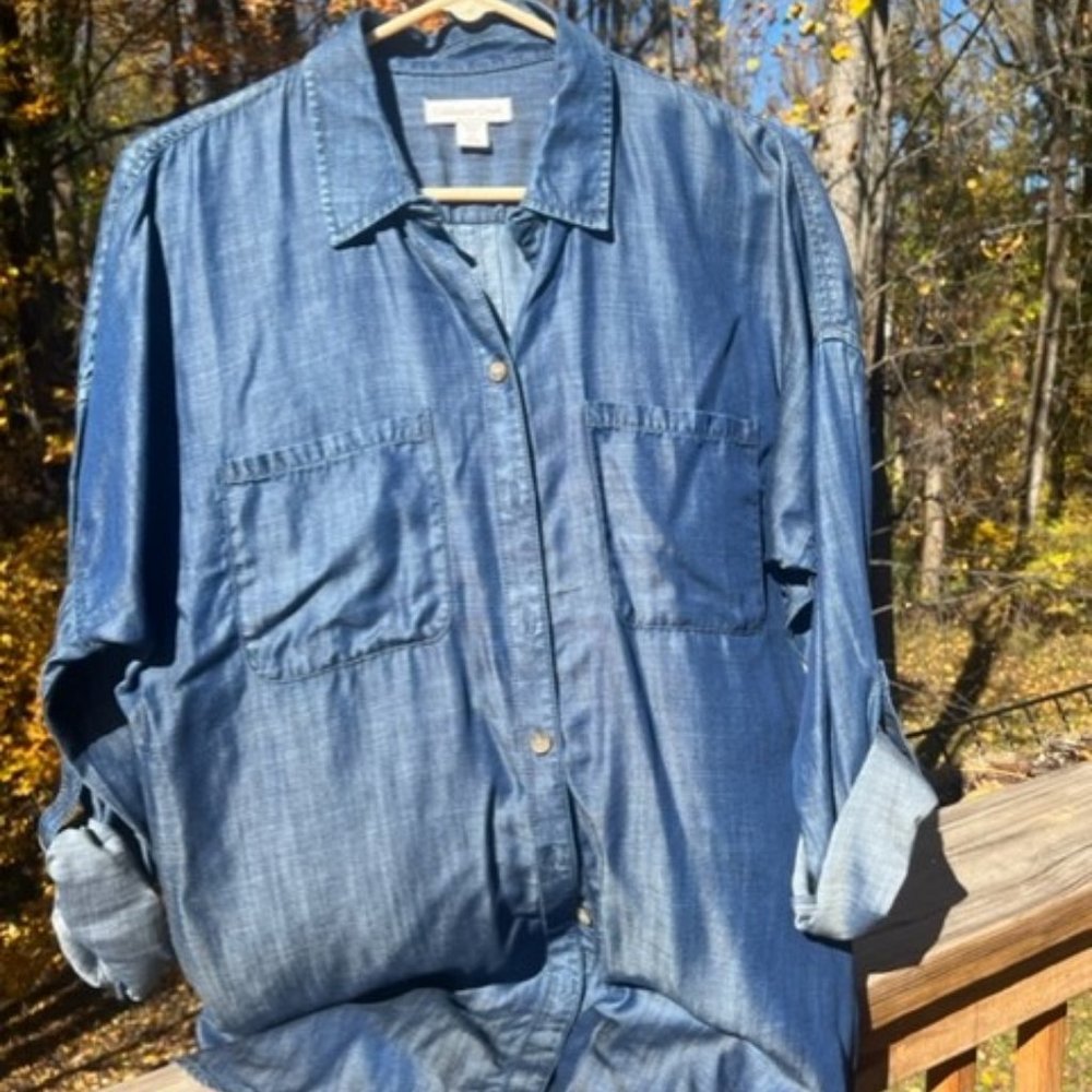 Coldwater Creek tencel button up